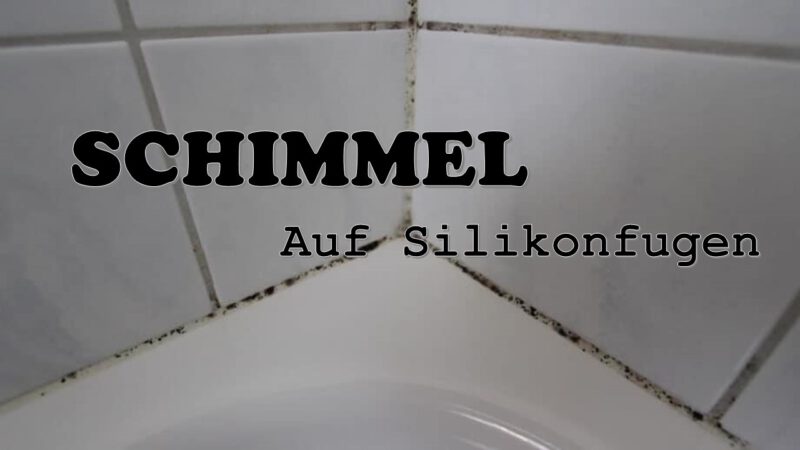 Schimmel auf Silikonfuge