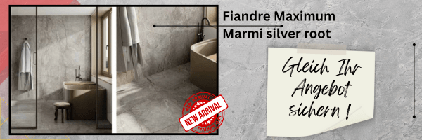 Fliese des Monats Fiandre Marmi silver root